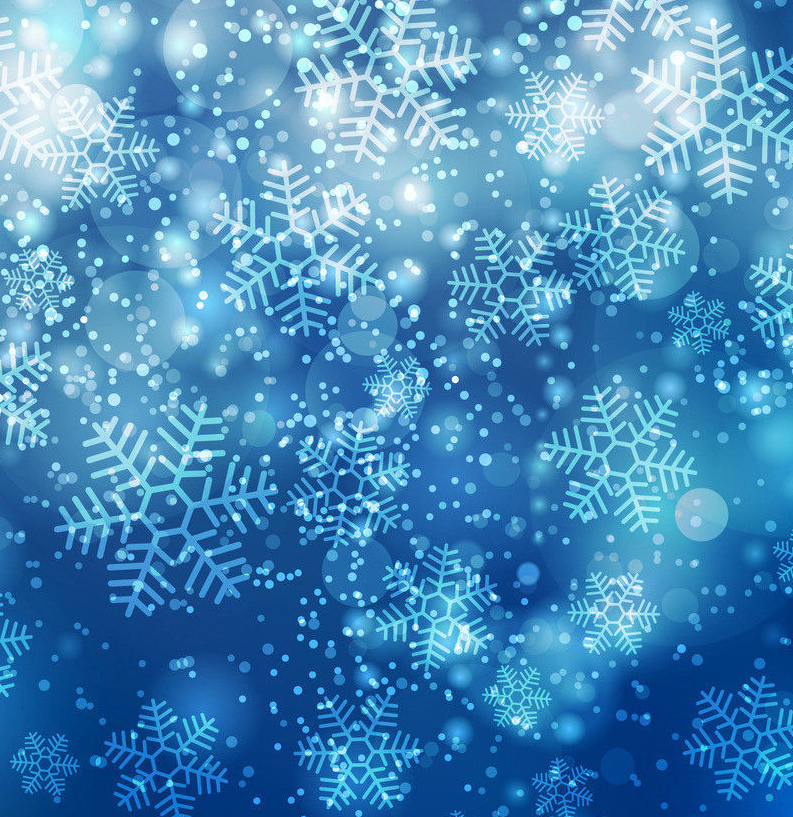 Busy Bee Portraits Blue Snowflake background